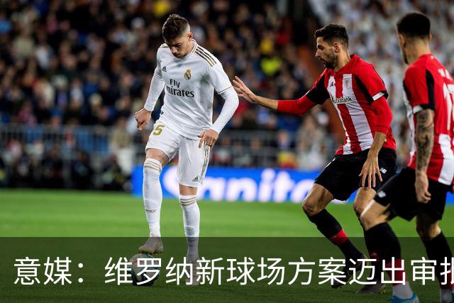 意媒：维罗纳新球场方案迈出审批第一步