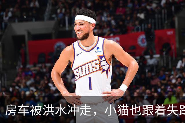 房车被洪水冲走，小猫也跟着失踪，8天后它突然回家了，全家人都哭了