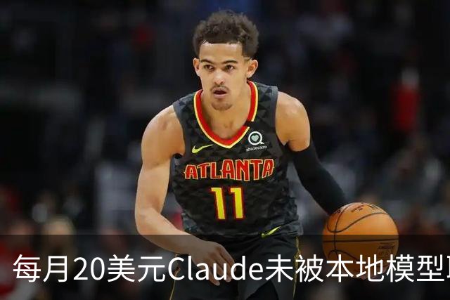 每月20美元Claude未被本地模型取代，被取代的是不敢上云的事