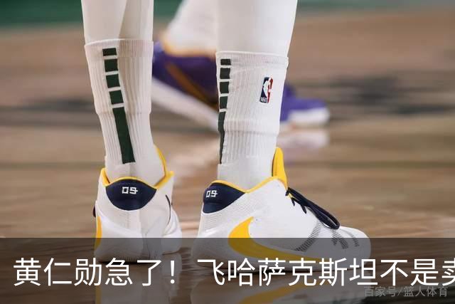 黄仁勋急了！飞哈萨克斯坦不是卖芯片，61%老化率让算盘不好打了